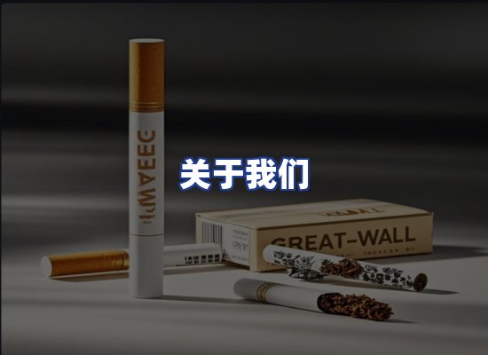 专业团队